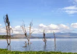 Taphe Guest Resort, Naivasha