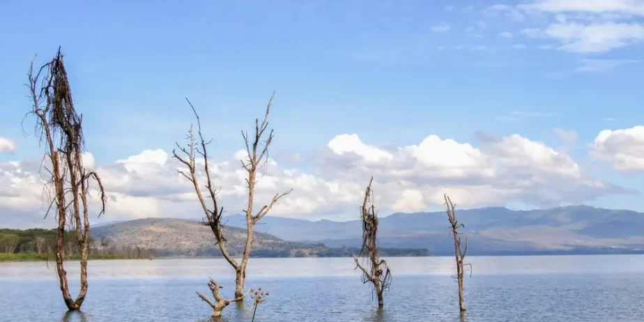 Taphe Guest Resort, Naivasha