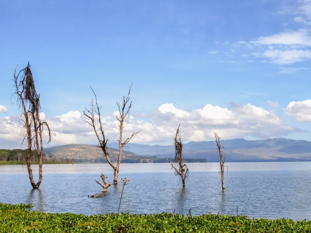 Taphe Guest Resort, Naivasha