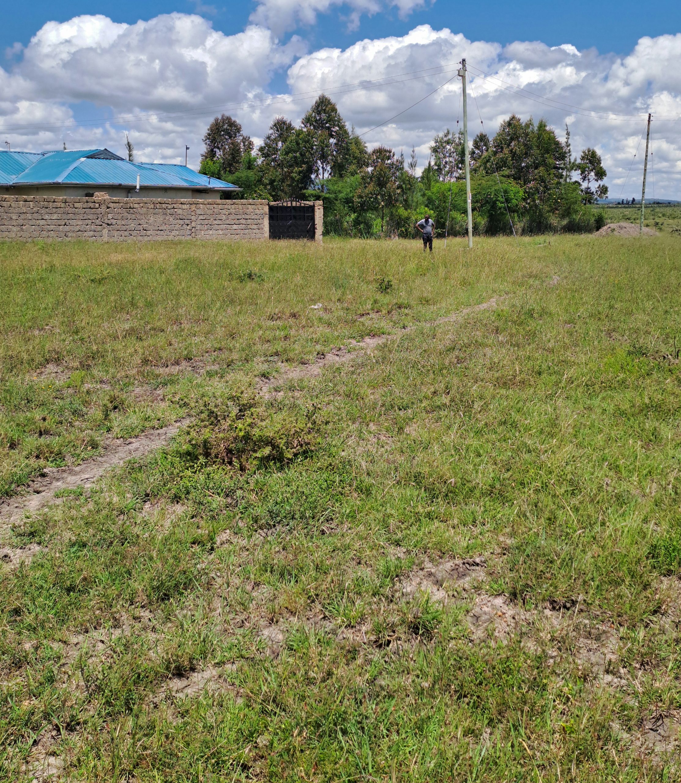 Koma Shrine Plot For Sale 50*100