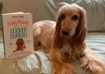 Used Fiction Books From World of Books