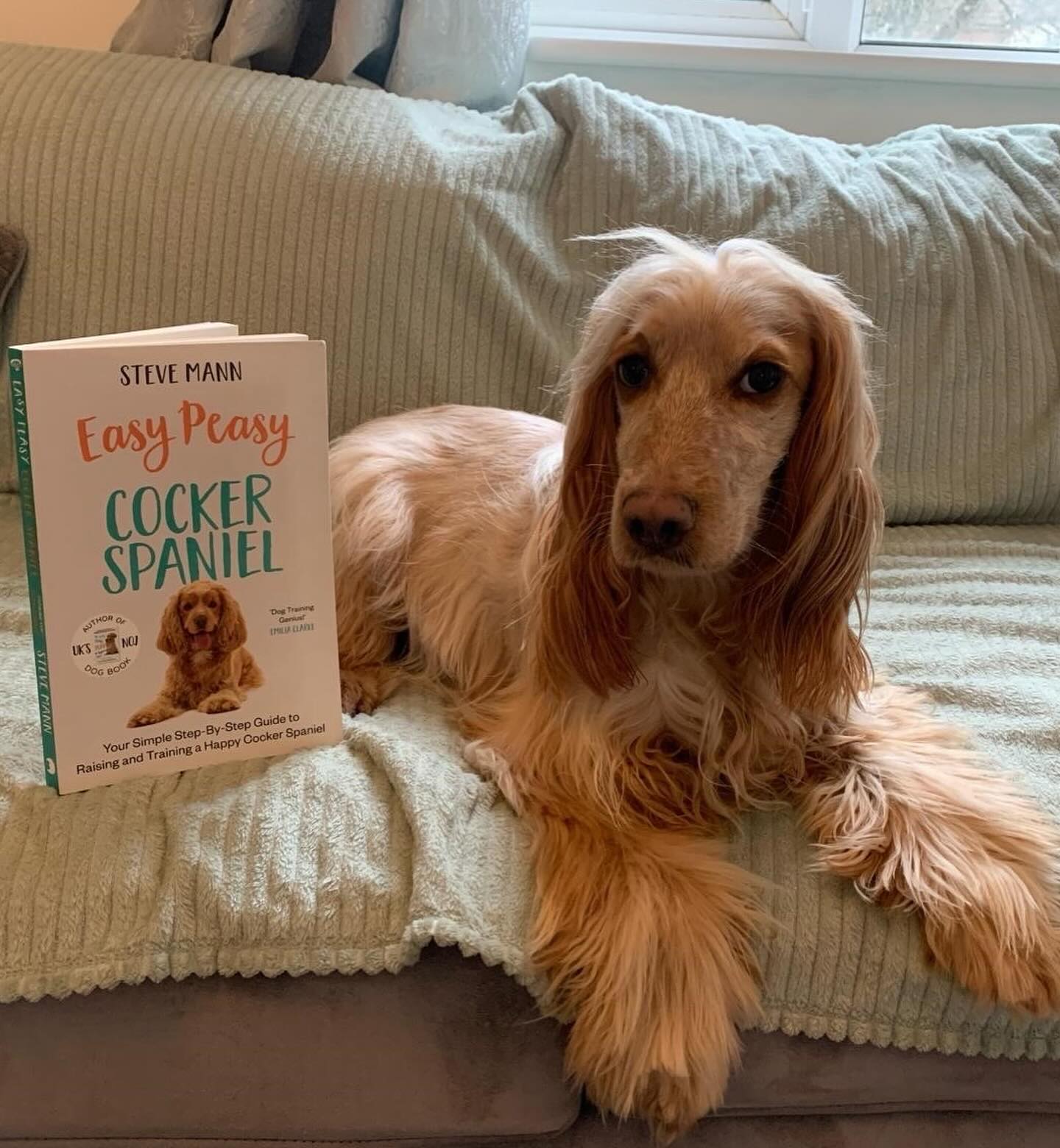 Used Fiction Books From World of Books