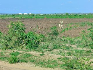 IMG_20250407_162004