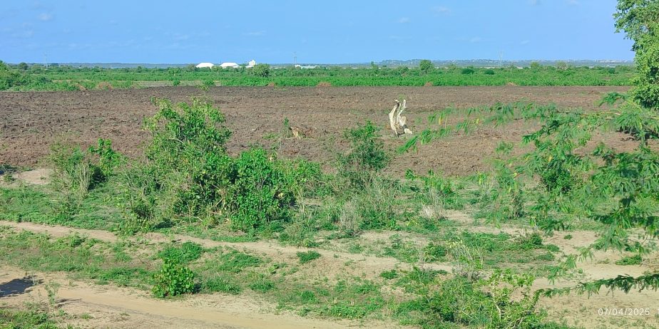 1 Acre Plots,  Malindi Gongoni