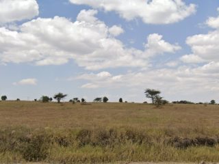 plot-1
