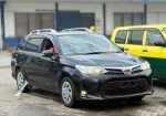 Toyota Fielder non hybrid, 2019 model
