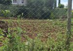 DAYKIO Bustani Residential 1/4 plot