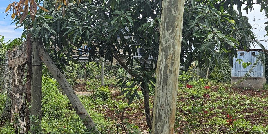 DAYKIO Bustani Residential 1/4 plot