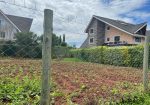 DAYKIO Bustani Residential 1/4 plot