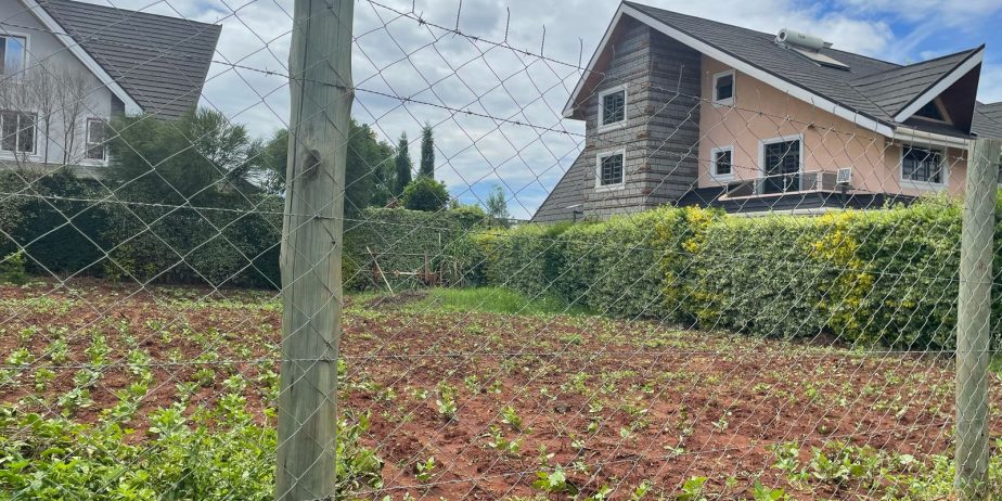 DAYKIO Bustani Residential 1/4 plot