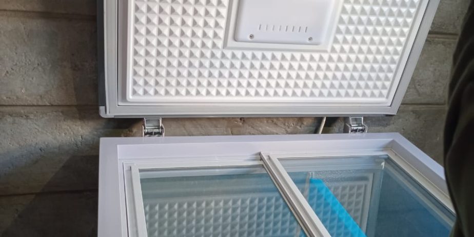 Solstar 282L Energy-Efficient Storage Glass Door Freezer