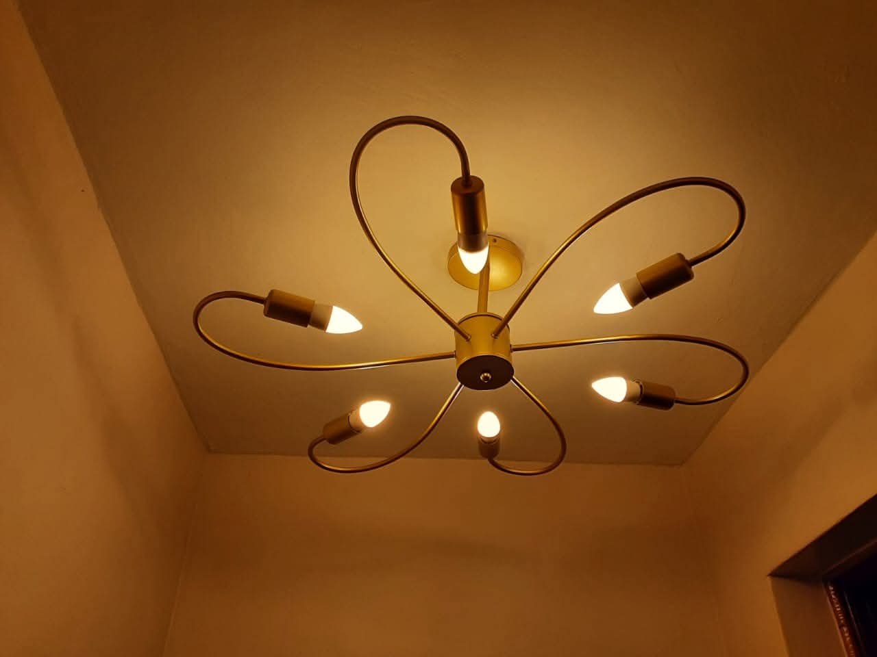 Ceiling Lamp inclusive of the bulbs