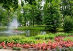 Nature and Outdoors Photography Services