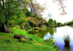 Nature and Outdoors Photography Services