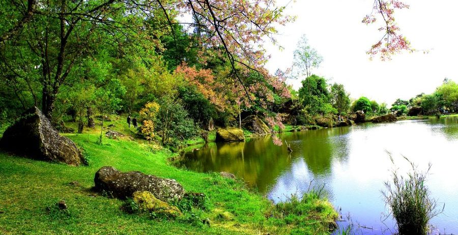 Nature and Outdoors Photography Services