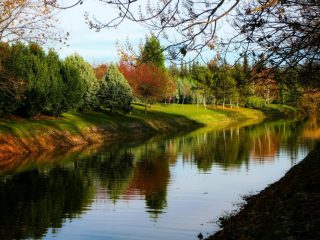 landscape-4