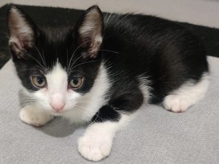 IMG_20250708_214904__01