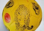 Size 5 Genuine Leather Football