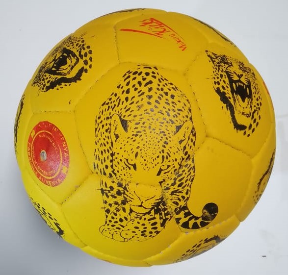 Size 5 Genuine Leather Football